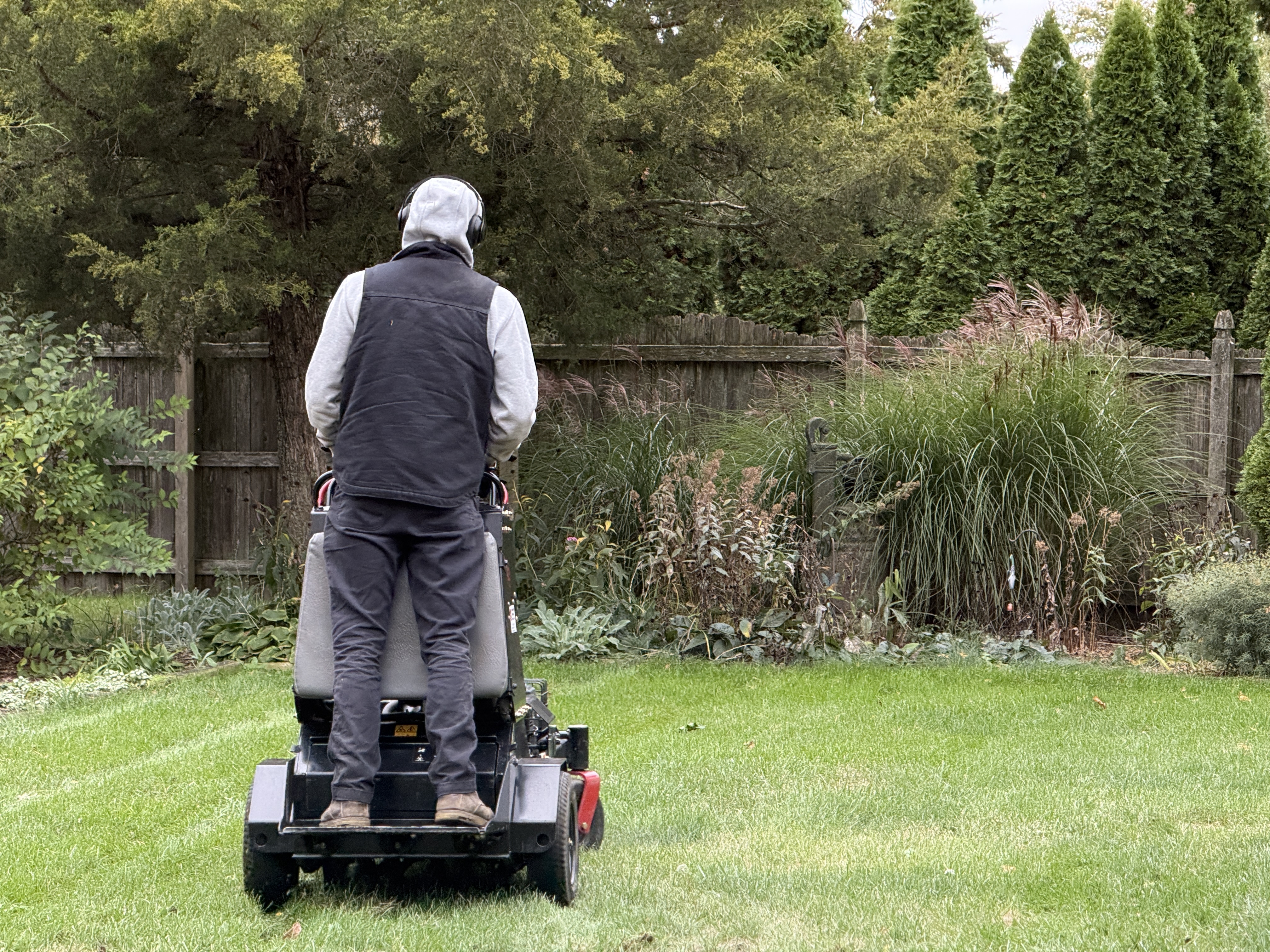 Overseeding a lawn after core aeration